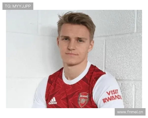 厄德高是否只适合特定体系